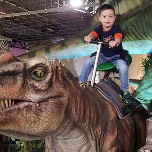 Meet your Posher, Tammy